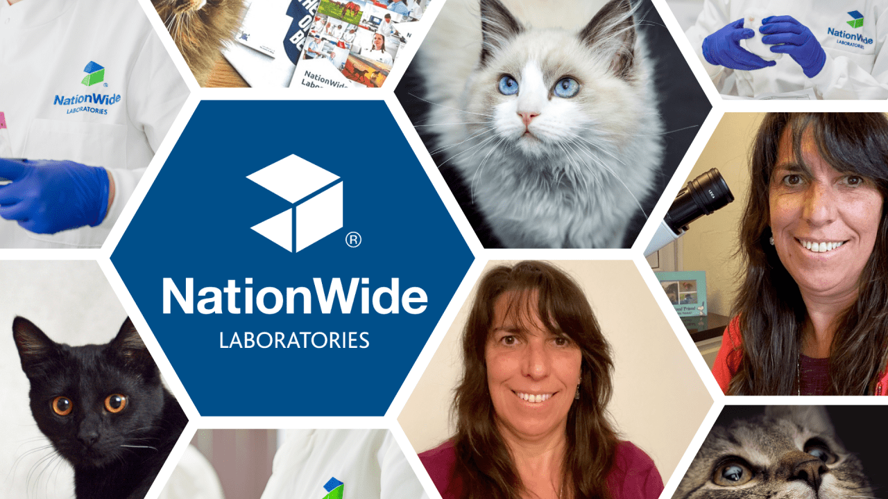 NationWide Laboratories: Cystitis Glandularis in a 13-year-old female cat
