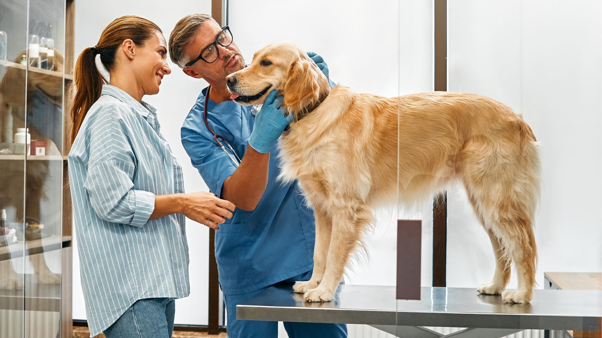 Seven effective strategies to demonstrate the value of your veterinary services