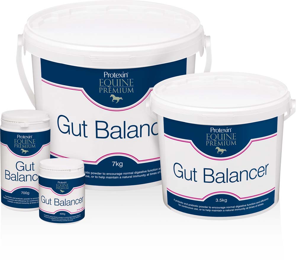 Protexin Gut Balancer